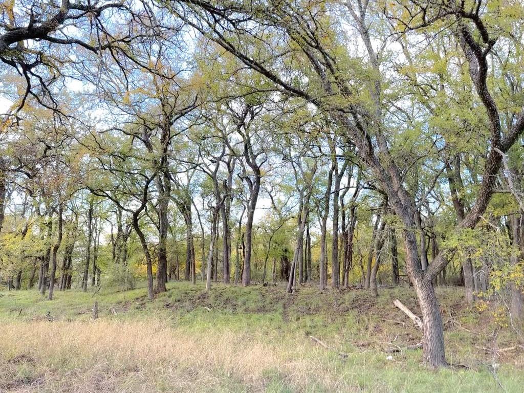 17900 S Tx-16 Property Photo 16