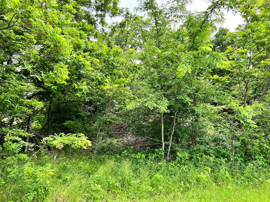 Lot 78 Clubhouse Drive Property Photo 3