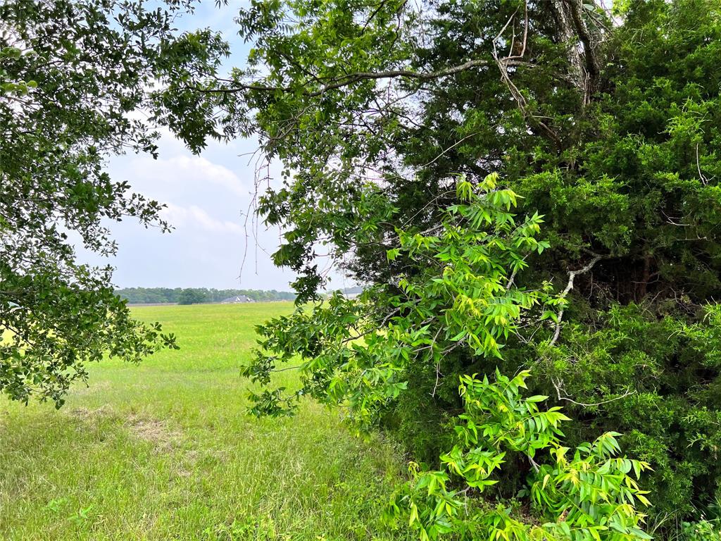 Lot 78 Clubhouse Drive Property Photo 5