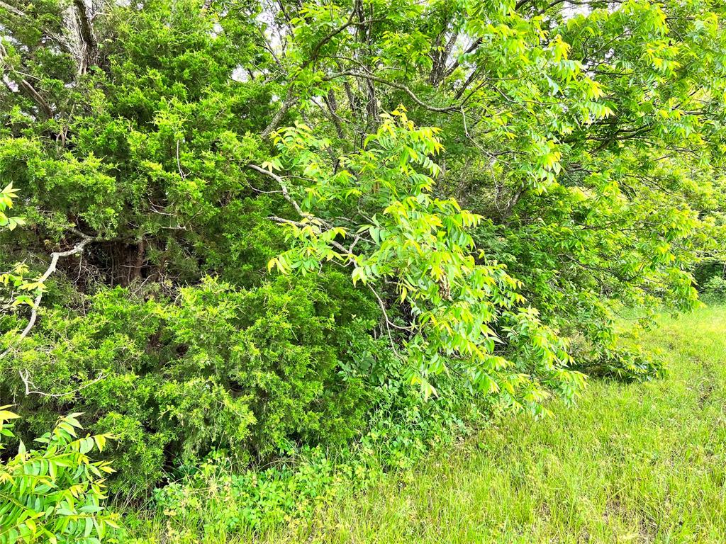Lot 78 Clubhouse Drive Property Photo 6