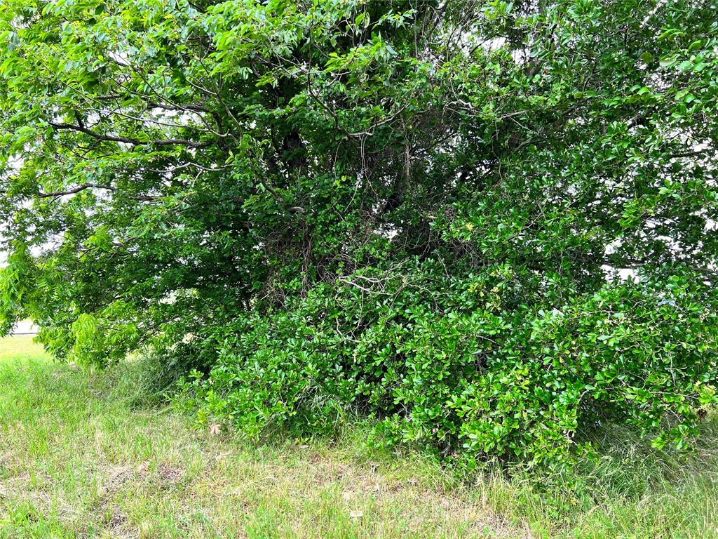 Lot 78 Clubhouse Drive Property Photo 7