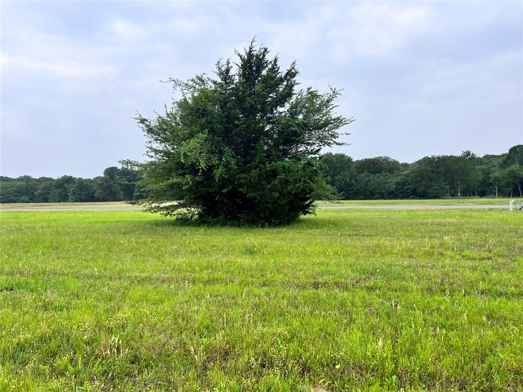 Lot 390 Polaris Drive Property Photo 29