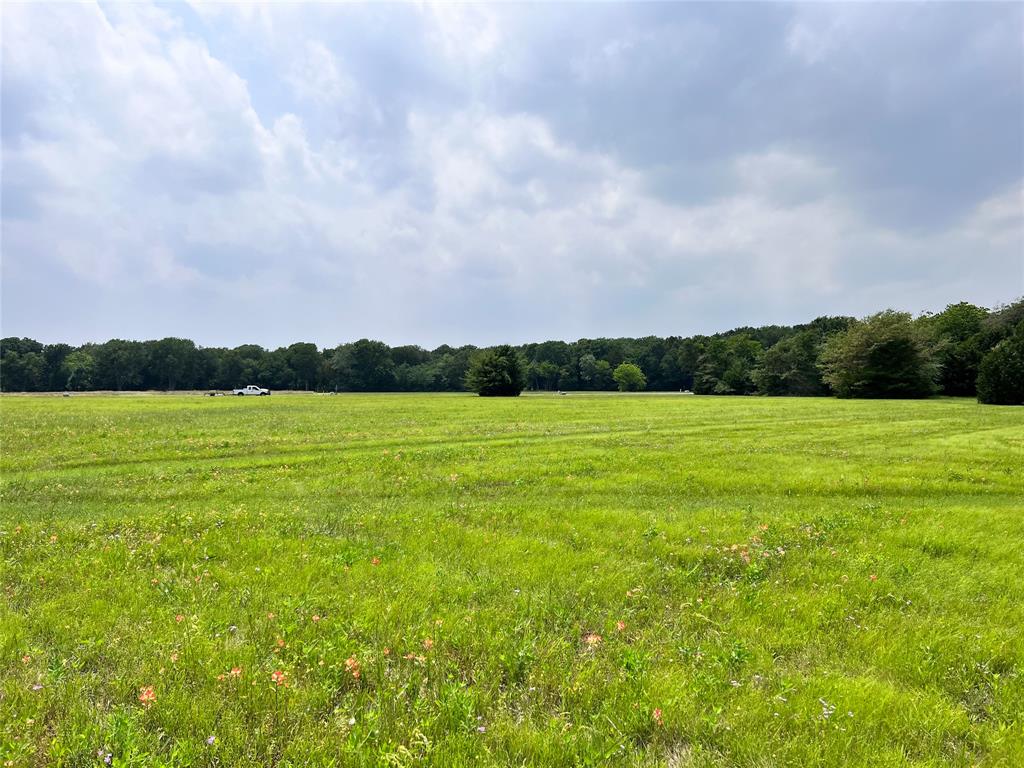 Lot 79 Clubhouse Drive Property Photo 1