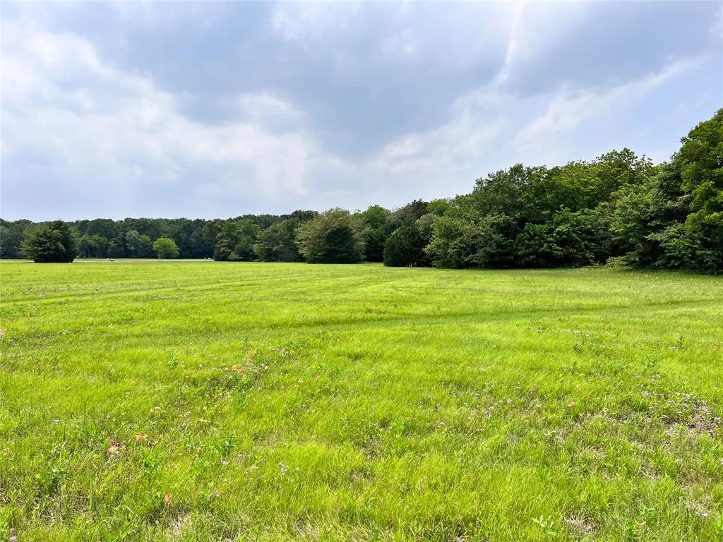 Lot 79 Clubhouse Drive Property Photo 3