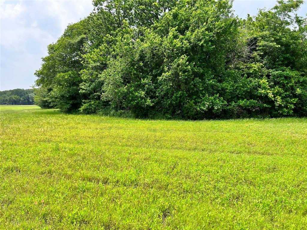 Lot 79 Clubhouse Drive Property Photo 28
