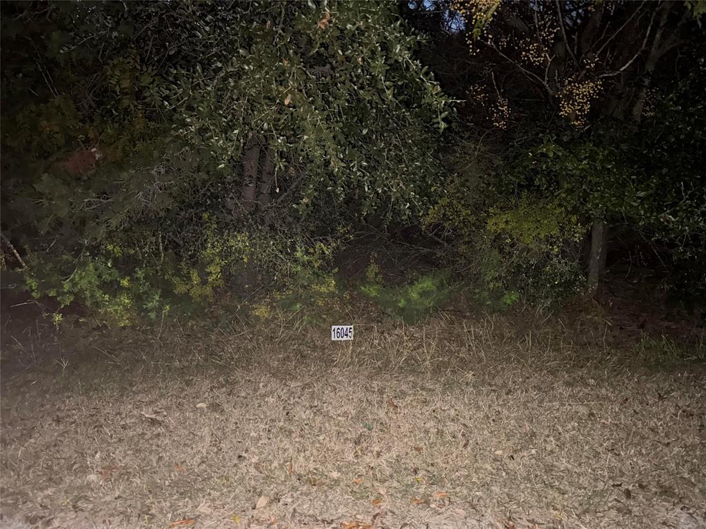 16045 Faircrest Drive Property Photo 6