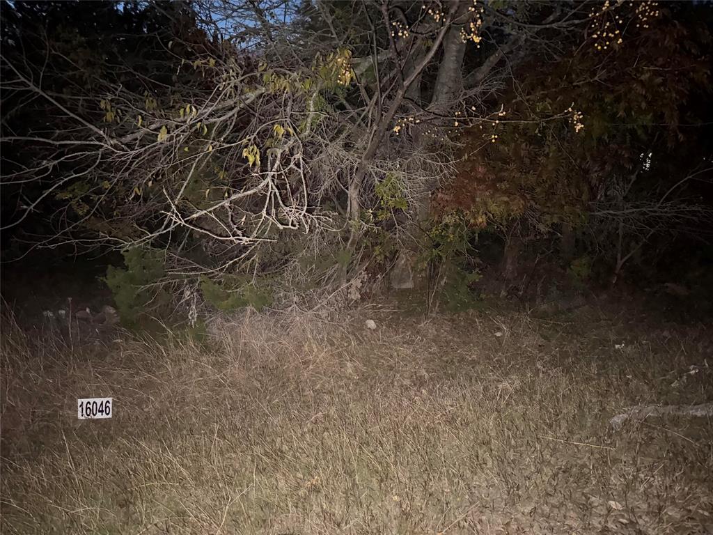 16045 Faircrest Drive Property Photo 8