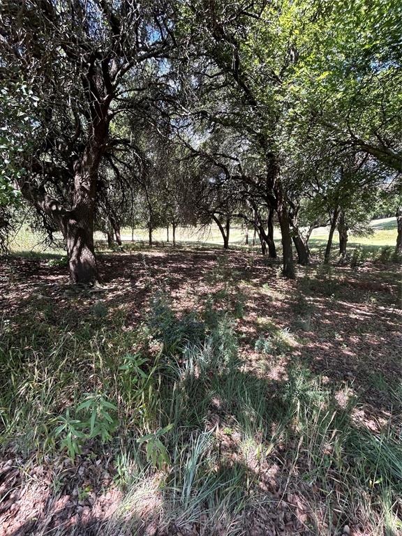 16045 Faircrest Drive Property Photo 15