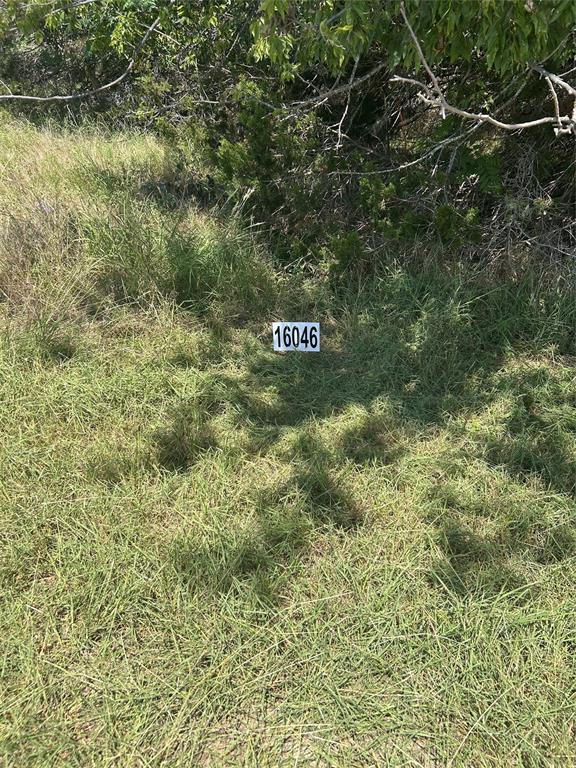 16046 Faircrest Drive Property Photo 1