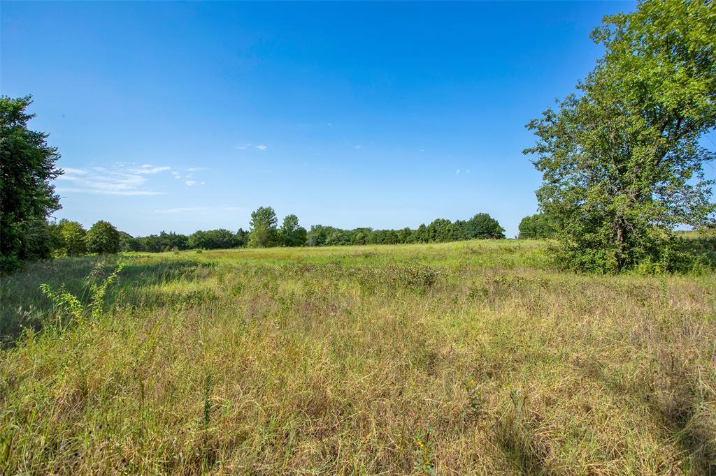 000 Stafford Drive Property Photo 15