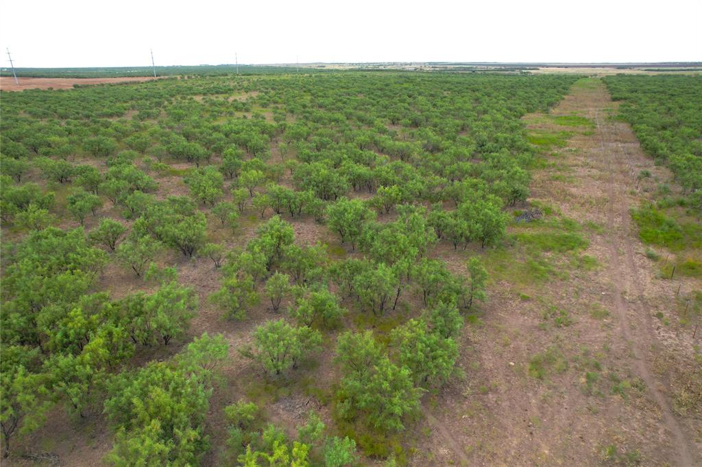 100+/- Ac Tbd Hwy 6 Property Photo 1