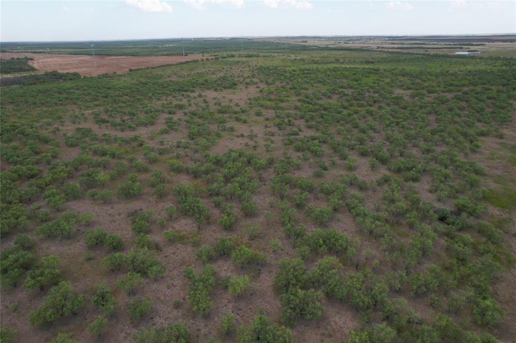 100+/- Ac Tbd Hwy 6 Property Photo 2
