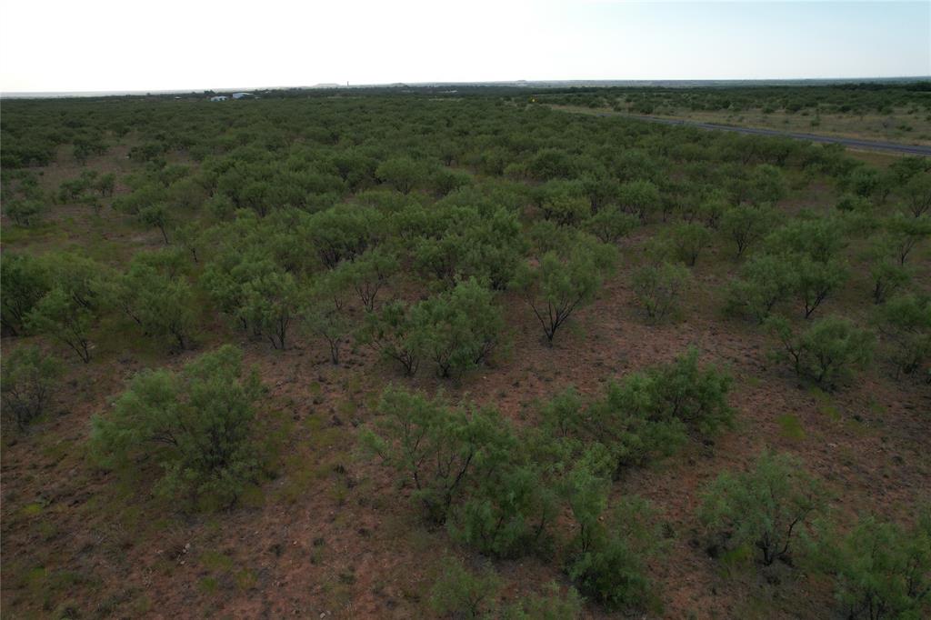 100+/- Ac Tbd Hwy 6 Property Photo 5