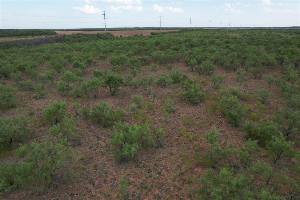 100+/- Ac Tbd Hwy 6 Property Photo 6