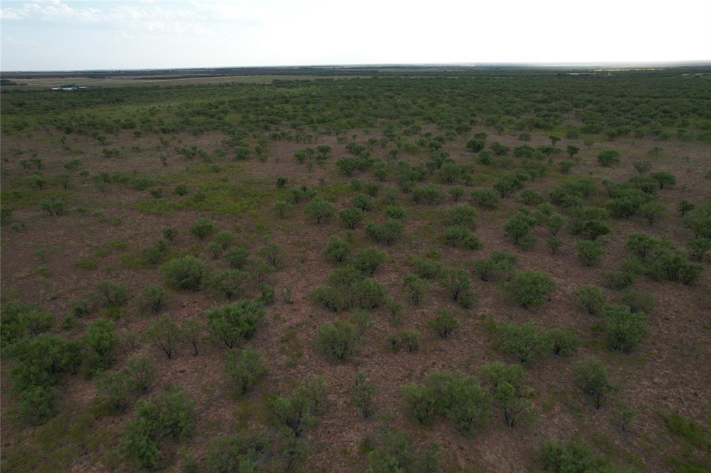 100+/- Ac Tbd Hwy 6 Property Photo 8