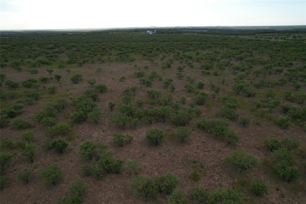 100+/- Ac Tbd Hwy 6 Property Photo 9