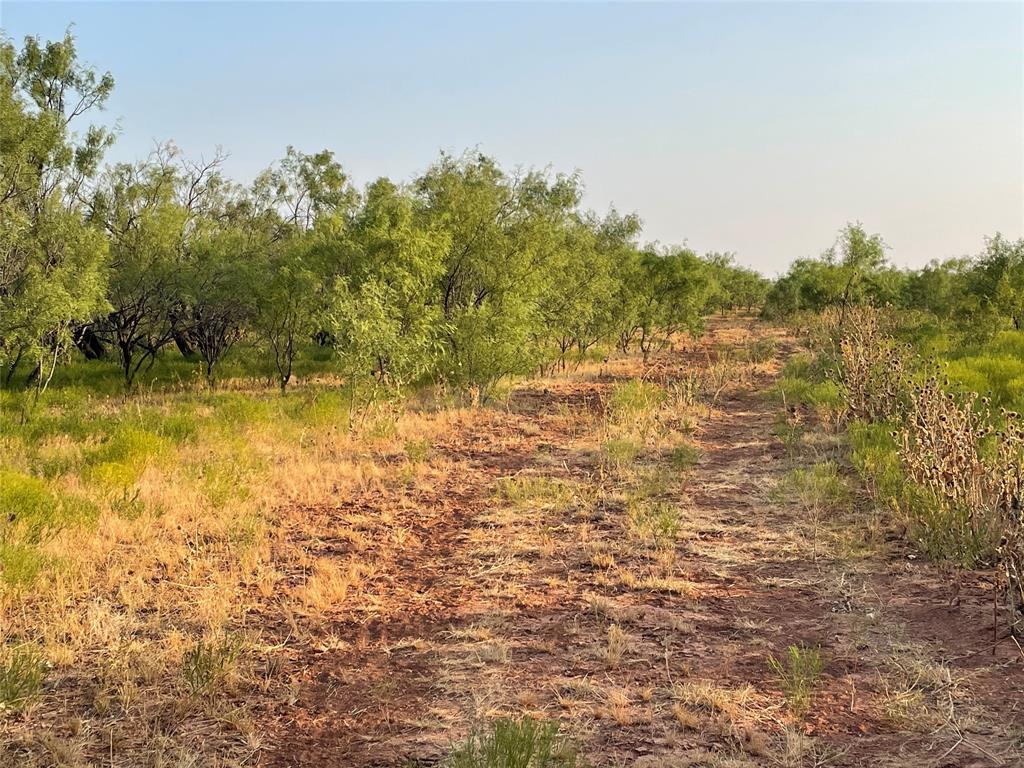 100+/- Ac Tbd Hwy 6 Property Photo 15