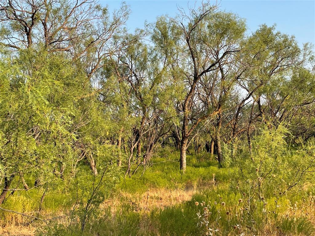 100+/- Ac Tbd Hwy 6 Property Photo 16