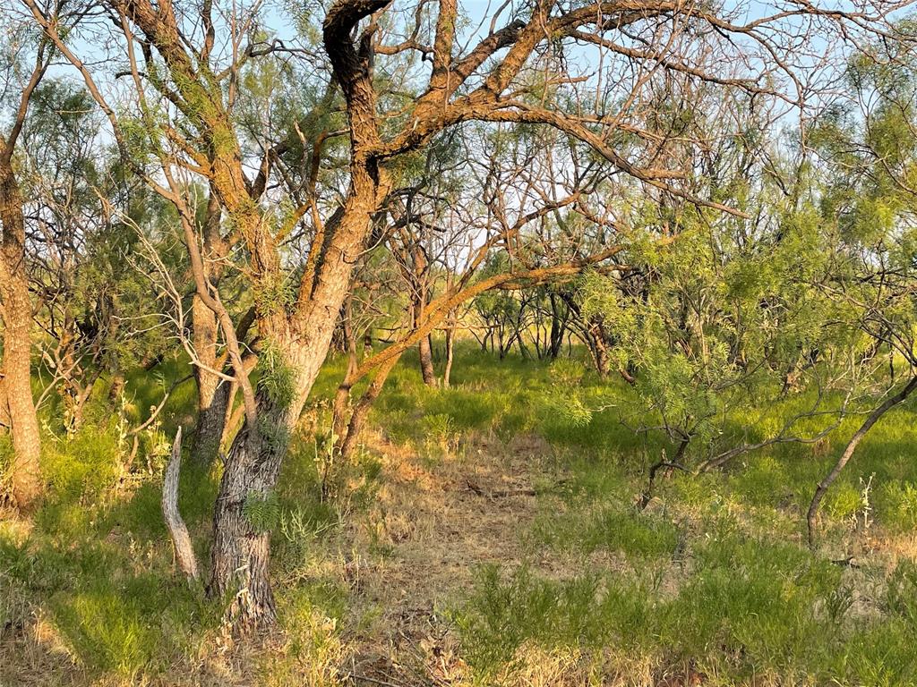 100+/- Ac Tbd Hwy 6 Property Photo 17