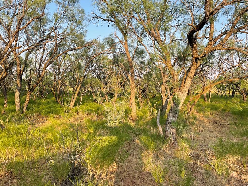 100+/- Ac Tbd Hwy 6 Property Photo 18