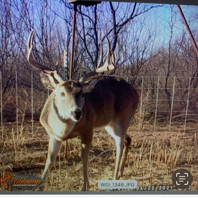 100+/- Ac Tbd Hwy 6 Property Photo 19