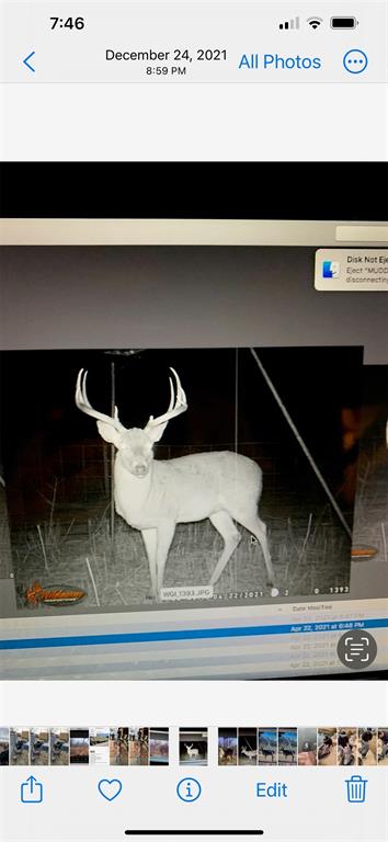100+/- Ac Tbd Hwy 6 Property Photo 20