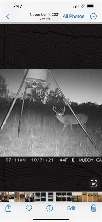 100+/- Ac Tbd Hwy 6 Property Photo 21