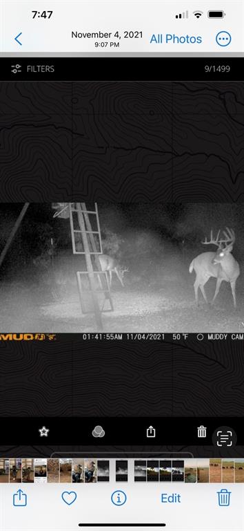 100+/- Ac Tbd Hwy 6 Property Photo 22