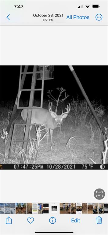 100+/- Ac Tbd Hwy 6 Property Photo 23