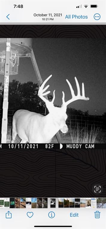 100+/- Ac Tbd Hwy 6 Property Photo 24