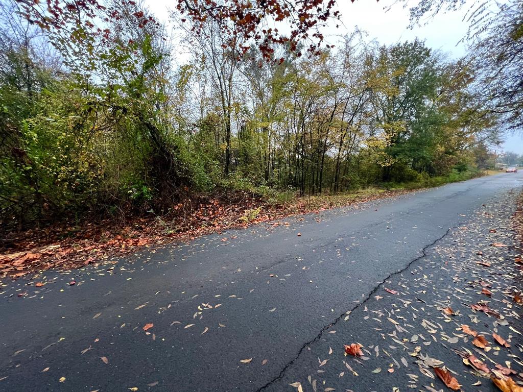 Tbd Haywood Street Property Photo