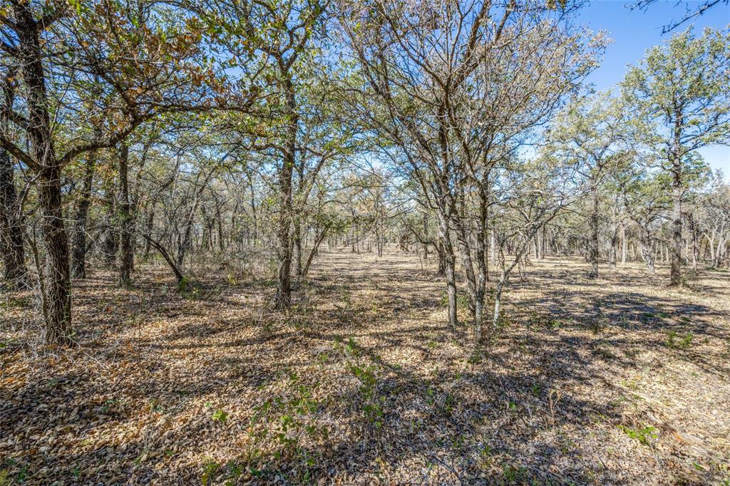 2716 County Road 3672 Property Photo 4