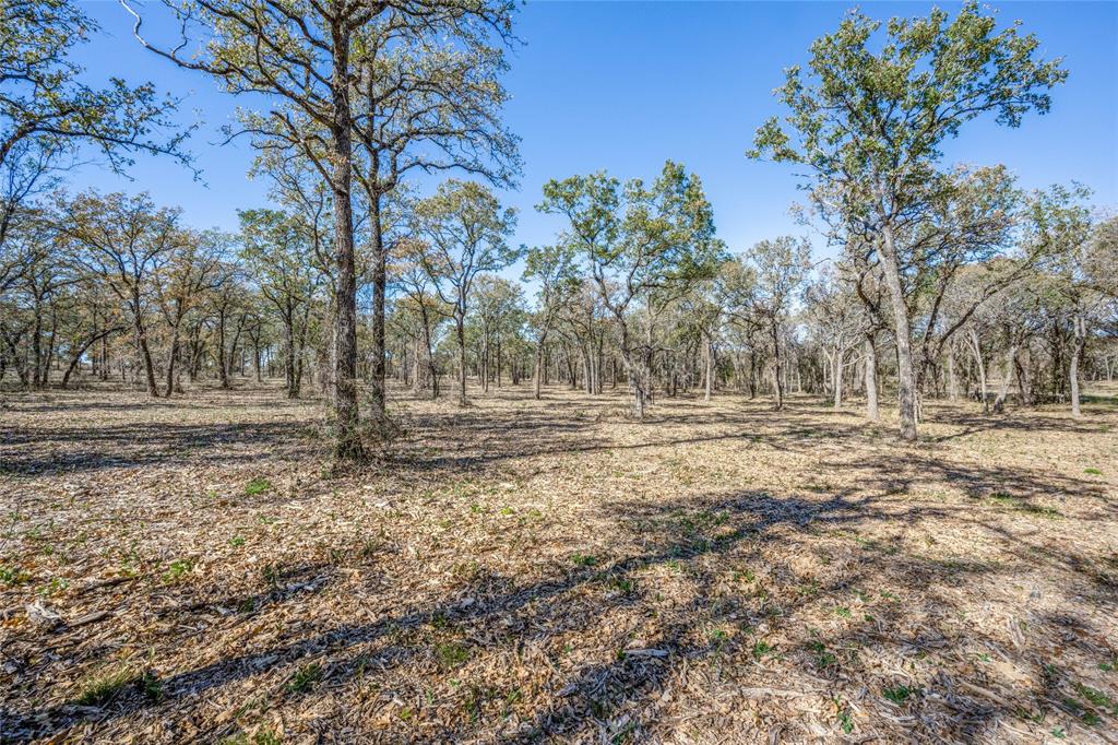 2716 County Road 3672 Property Photo 6