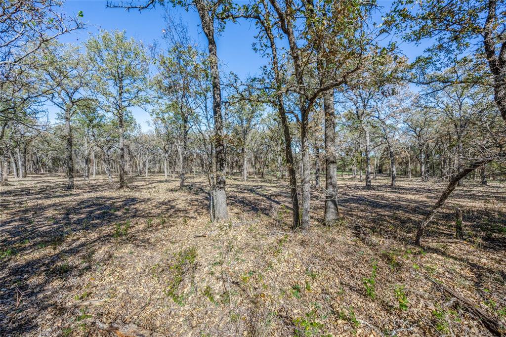 2716 County Road 3672 Property Photo 7