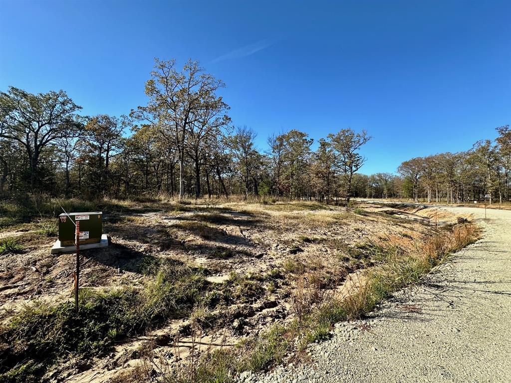 Lot 23 Private Road Property Photo 10
