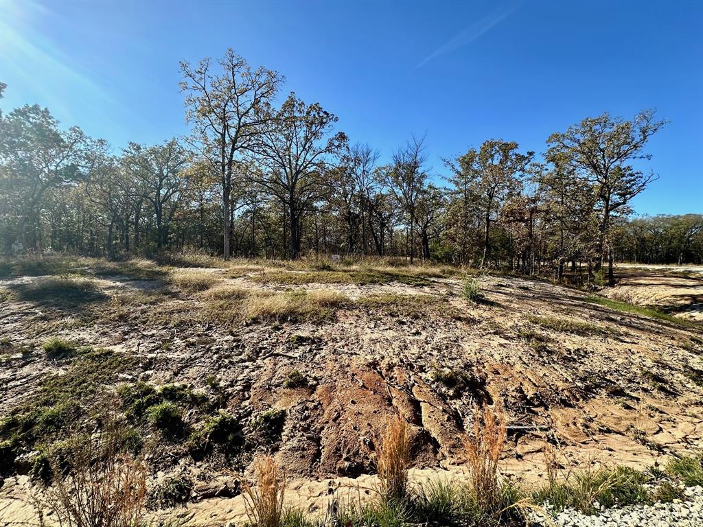 Lot 23 Private Road Property Photo 11