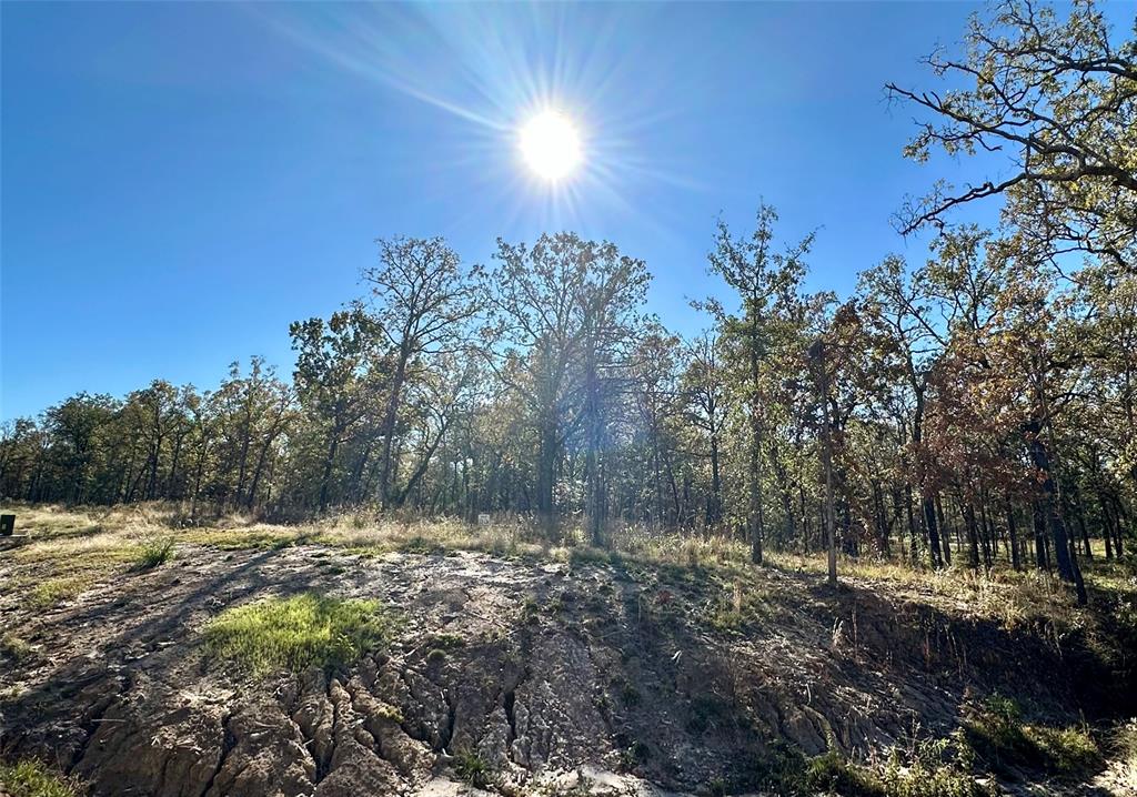 Lot 23 Private Road Property Photo 12