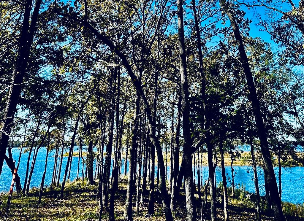 Lot 23 Private Road Property Photo 14