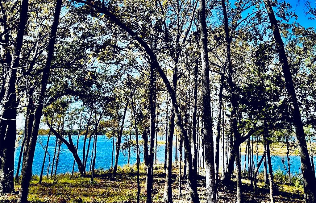 Lot 23 Private Road Property Photo 16