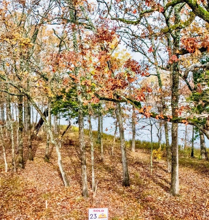 Lot 23 Private Road Property Photo 19
