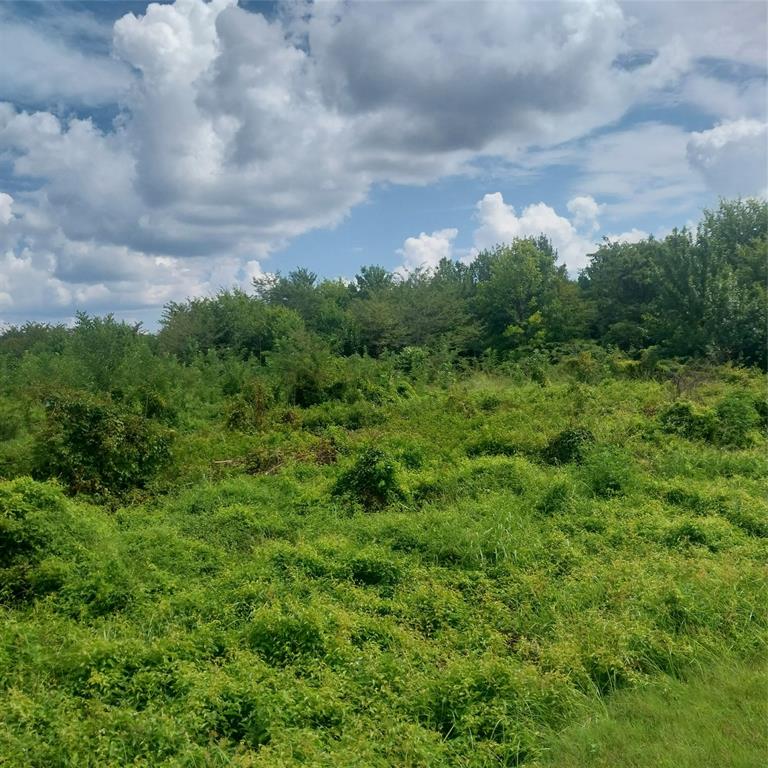 1085 Deen Point Road Property Photo 1