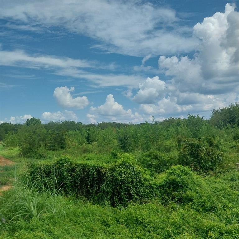 1085 Deen Point Road Property Photo 3