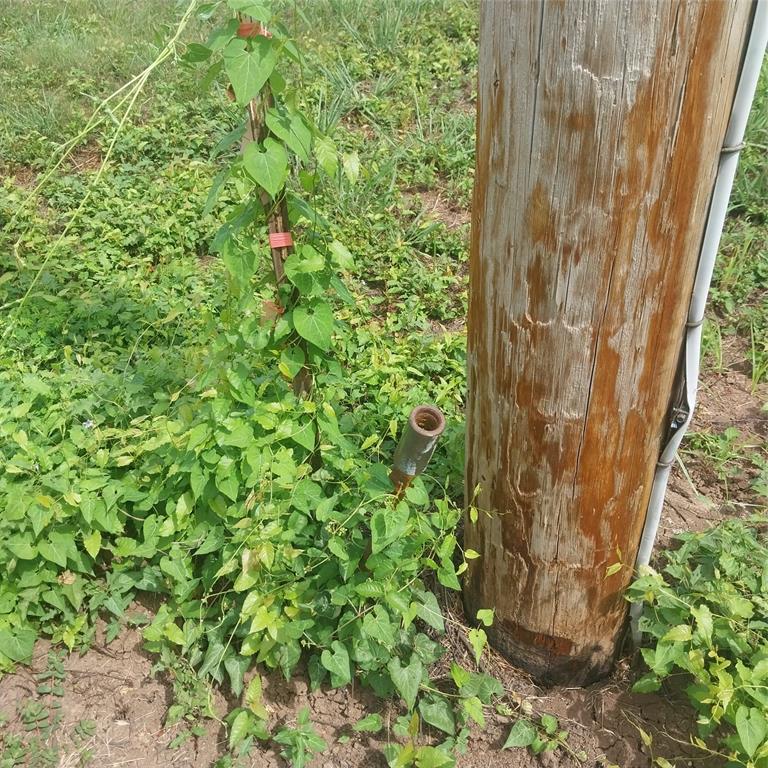1085 Deen Point Road Property Photo 6