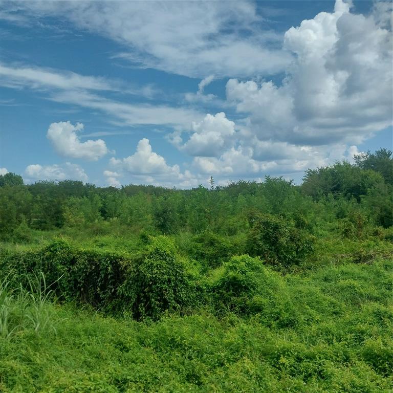 1085 Deen Point Road Property Photo 7