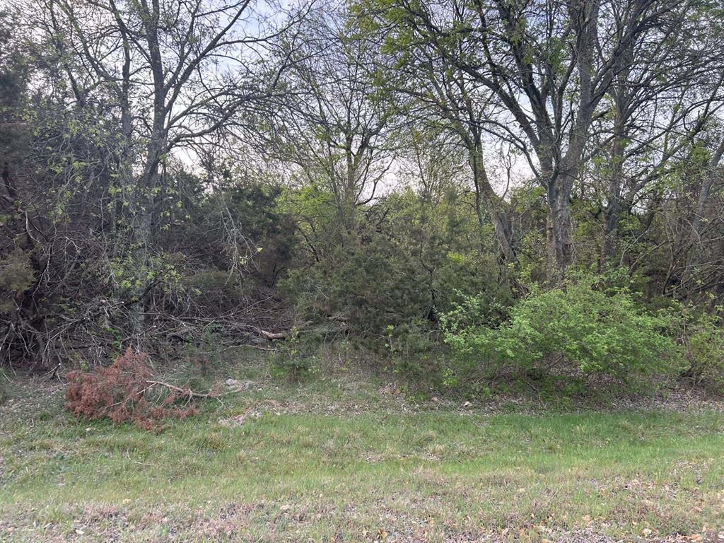 8116 High Mesa Drive Property Photo 1