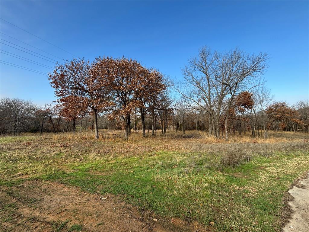 795 Deer Path Property Photo 1