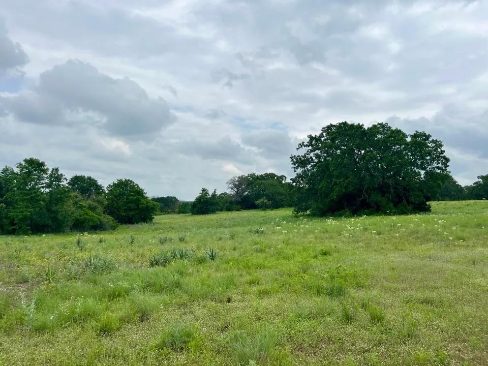 Lot 14 Arlow Rd Property Photo 1