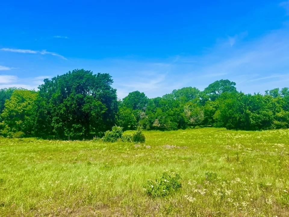 Lot 100 Arlow Road Property Photo 3