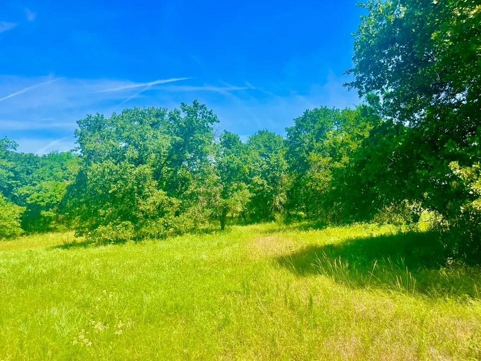 Lot 98 Arlow Rd Property Photo 3
