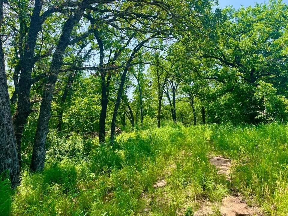 Lot 44 Antrim Ct Property Photo 1